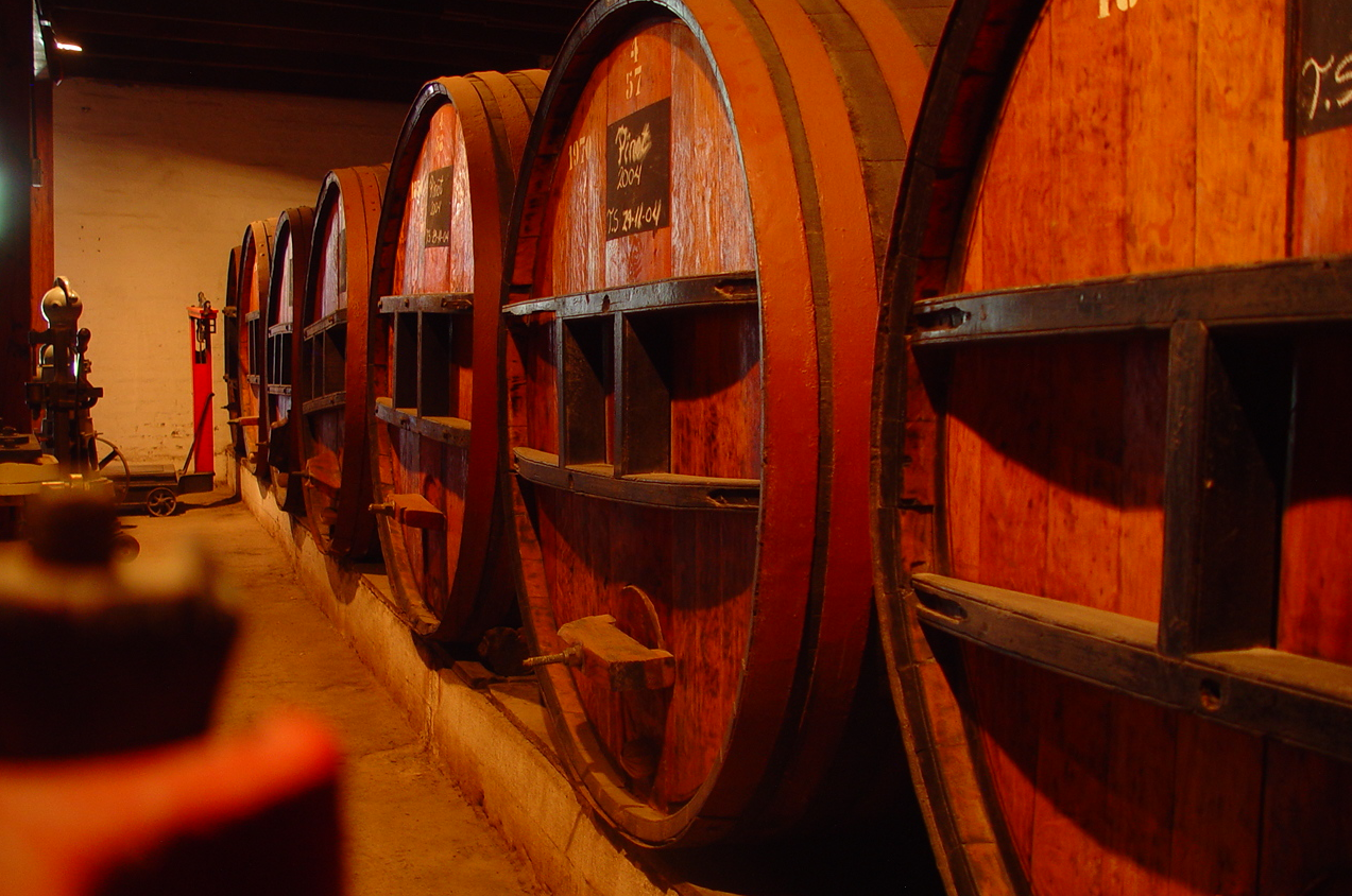 Wein Tour Concha y Toro Chiletouristik